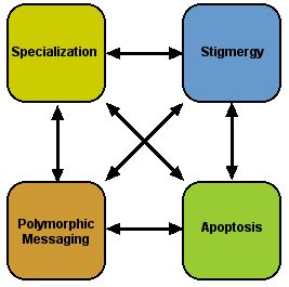 Intertwined principles